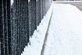 metal fence covered with frost. Frosty weather