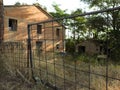 Metal fence of old abandoned building overgrown by wild plants Royalty Free Stock Photo