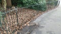 Metal fence splitting the picture diagonally between road and leaves