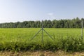 Metal fences for animal protection Royalty Free Stock Photo