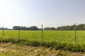 Metal fences for animal protection Royalty Free Stock Photo