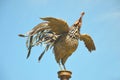 Bronze metal figure of a bird - a rooster with spread wings against the background of a blue sky Royalty Free Stock Photo