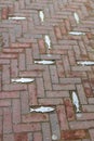 Metal fish between the bricks