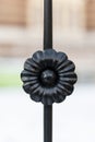 Metal flower close up detail. ironwork ornament