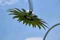 A metal flower in the shape of a sunflower is located in the frame hanging from the top.