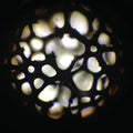 Metal Foam as Seen Through Microscope