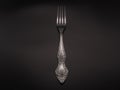 Metal fork on a dark background. Object shooting.