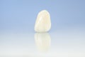 Metal free ceramic dental crowns