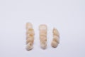 Ceramic zirconium in final version. Metal Free Ceramic Dental Crowns. Zirconium tooth crown isolate on wite background