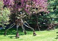 Metal Garden Sculptures