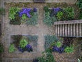 metal gate decorative fittings in arch garden with flowers in yard which is