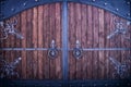 Metal gate with elements of forging and wooden inserts of dark brown color Royalty Free Stock Photo
