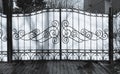 Metal gate with ornamental, iron fence, black and white