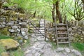 A metal gate and wooden stile through a stone wall, lead into forest Royalty Free Stock Photo