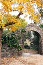 Metal gates in a stone fence under a yellow autumn tree Royalty Free Stock Photo