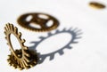 Metal gears on white background with falling shadow, two gears Royalty Free Stock Photo