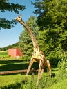 Metal giraffe