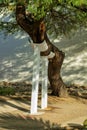 Metal girder tree structural support for saftey reasons in recreational area for hikes and picnics for travelers