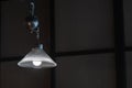 Metal and glass ceiling lamp lighting blubs concept interior