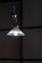 metal and glass ceiling lamp lighting blubs concept interior