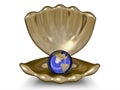 Metal globe in a gold bowl Royalty Free Stock Photo