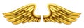 Metal Gold Wings