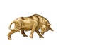 Metal golden bull isolated on white background