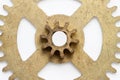 Metal golden color copper gear wheel isolated with white background