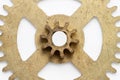 Metal golden color copper gear wheel isolated with white background