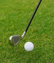 Metal golf driver Royalty Free Stock Photo