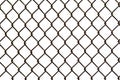 Metal grille. Wire fence isolated on white background. Steel, iron, metal mesh on a white background, a square cell. Royalty Free Stock Photo