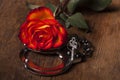 Metal hand cuffs Royalty Free Stock Photo