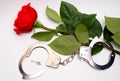 Metal handcuffs lie on white background. In handcuffs, rose and key ornament. Royalty Free Stock Photo