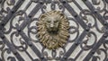 Metal head of lion on wooden door