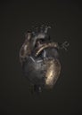 Metal heart