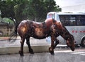 Metal horse