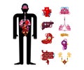 Metal Human anatomy organs. Artificial organ. Cybernetics future. Robot Systems of man body. Robotic Internal organs. Iron Cyborg