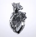 Metal human heart on white background Royalty Free Stock Photo