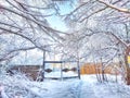 Metal iron gates covered with snow and tree branches in the park in cold winter Royalty Free Stock Photo