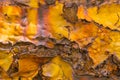 Metal iron rust with peeling paint background