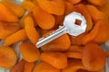 A metal key on a pile of delicious orange dried apricots.