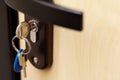 Metal keys on a key chain in the keyhole of the front door. Security from breaking and entering the apartment