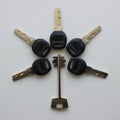 Double Beat Key And Five Same Modern Keys Laid Out On Flower Shape Top View Royalty Free Stock Photo