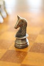 Metal Knight on a chess board Royalty Free Stock Photo