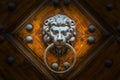 The Metal knocker like a lion`s head on an ornate door Royalty Free Stock Photo