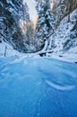 Frozen creek in Sucha Bela gorge in Slovak Paradise during winter