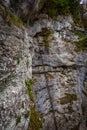 Metal ladder on via ferrata route Rudolf Decker Steig in Steinwandklamm Royalty Free Stock Photo