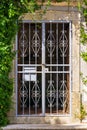 Metal lattice at the entrance to an old abandoned house overgrown with ivy Royalty Free Stock Photo