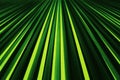 Metal lines structure similar to spaceship interior in green light color Royalty Free Stock Photo