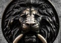Metal lion head bas-relief closeup Royalty Free Stock Photo